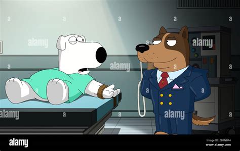 who is the voice of brian griffin|brian griffin family guy.